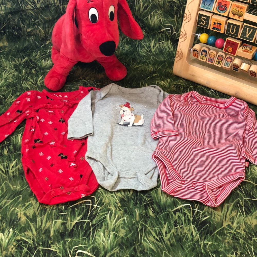 Baby Girl Long Sleeve Onesie 0-3M